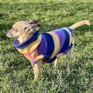 Chihuahua Fleece Sweater, Fits Other X-Small Dogs, Great Gift