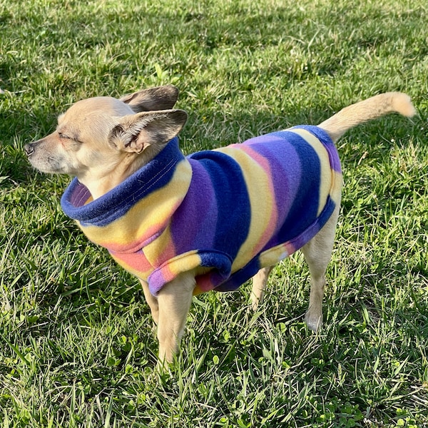 Pull polaire Chihuahua, convient à d’autres chiens de petite taille, excellent cadeau