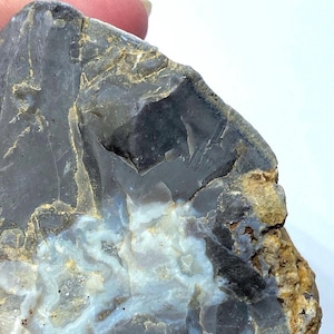 Seltener Chalcedon in Flint, Südschwarzwald