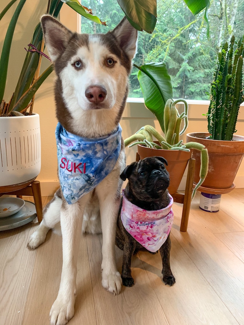 Personalize Tie Dye Pet Bandanas Custom Embroidery