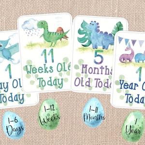Baby Boy Dinosaur Milestone Cards - Set of 45 Digital Watercolour ...
