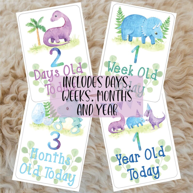 Baby Boy Dinosaur Milestone Cards - Set of 45 Digital Watercolour ...