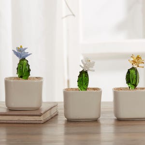 Glass Potted Plants,Mini Glass Plants,Glass cactus Flower,Handmade Glass Plants,Wedding Furniture,Gifts for friends,Mother&#39;s Day Gifts