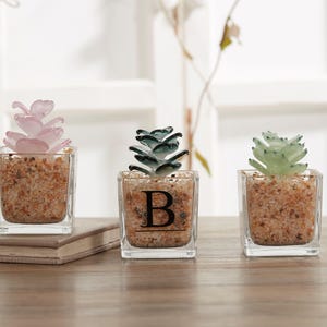 Handmade Glass Succulents,Glass Potted Plants, Fused Glass Succulents, Stained Glass, Cactus Lover,Wedding Furniture,Gifts for friends