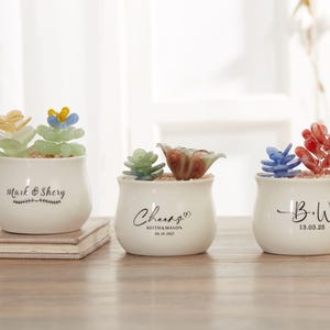 Handmade Glass Succulents,Glass Potted Plants, Fused Glass Succulents, Stained Glass, Cactus Lover,Artificial House Plant,Gifts for friends