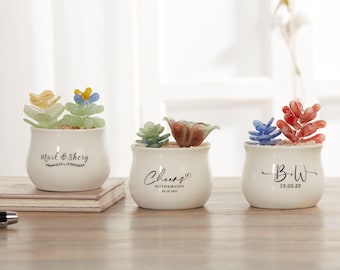 Handmade Glass Succulents,Glass Potted Plants, Fused Glass Succulents, Stained Glass, Cactus Lover,Artificial House Plant,Gifts for friends