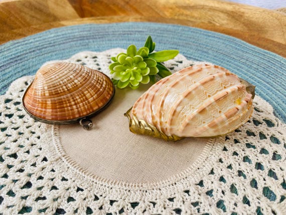 Pair of Unique Shells - Shell Coin Purse/ Trinket - image 2