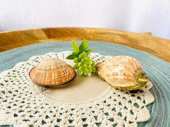 Pair of Unique Shells - Shell Coin Purse/ Trinket - image 10