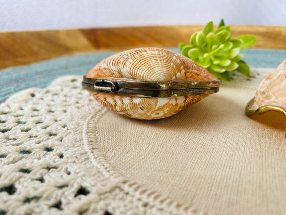 Pair of Unique Shells - Shell Coin Purse/ Trinket - image 3