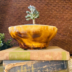Vintage Calif Mustard Planter