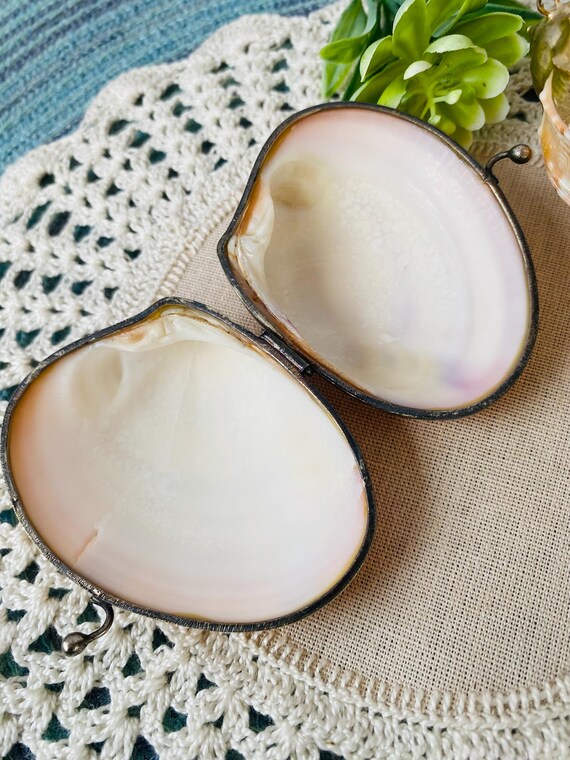 Pair of Unique Shells - Shell Coin Purse/ Trinket - image 8