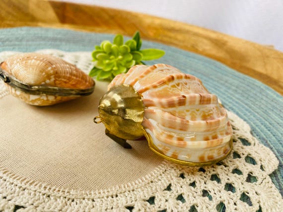 Pair of Unique Shells - Shell Coin Purse/ Trinket - image 5