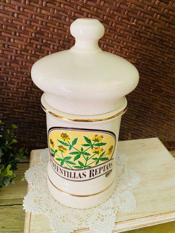 Vintage Porcelain Apothecary Jar Canister Potentillas Reptans Etsy
