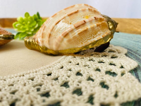 Pair of Unique Shells - Shell Coin Purse/ Trinket - image 4