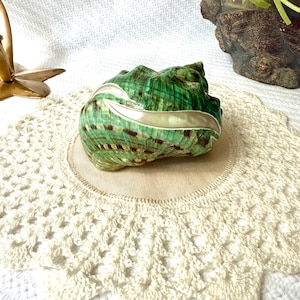 May include: A decorative, green and brown seashell-shaped trinket box with a silver-colored trim. The box is resting on a cream-colored, crocheted doily. The background includes a white surface and a decorative vase with flowers.