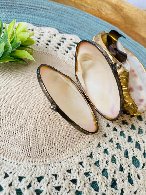 Pair of Unique Shells - Shell Coin Purse/ Trinket - image 9