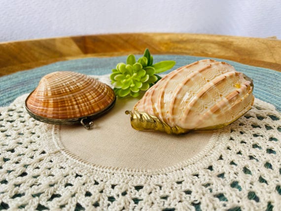 Pair of Unique Shells - Shell Coin Purse/ Trinket - image 1