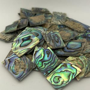 Grüne Paua Abalone Shell Rohlinge 0,60 "(1,55 mm) Dicke. 13-18 Inlay Material Stücke Gitarre 1oz (28 Gramm)