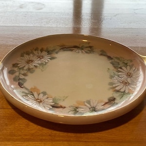 Rosenthal Bavaria DONATELLO Floral Design Double Handle Plate with D.W.W. Signature