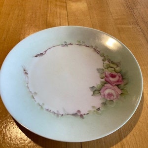 Vintage Silesia Plate - Hand Painted - Floral Pattern