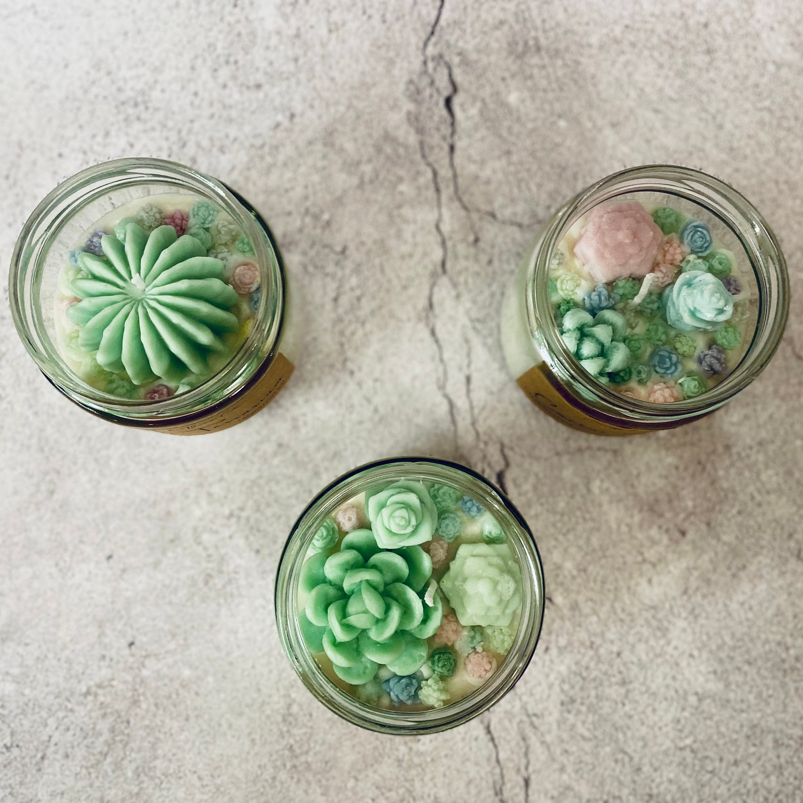 Cactus Succulent Terrarium Candle Etsy
