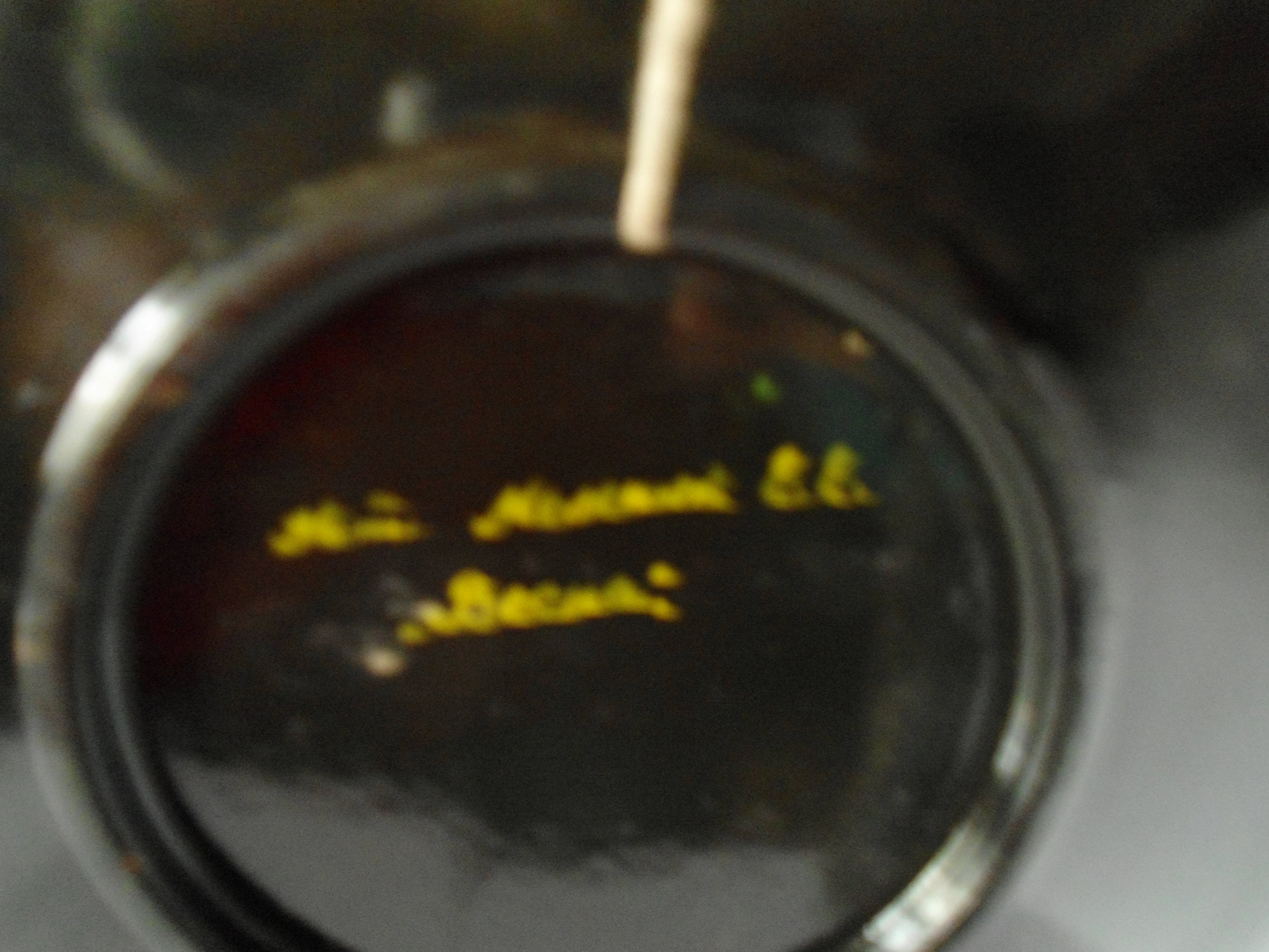 Wand-Dekor Autor bemalt Holzplatte Frühling | Etsy