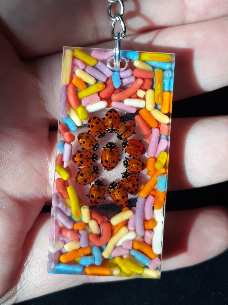 Rainbow Sprinkle Lady bug key chain AND MYSTERY PRIZE!