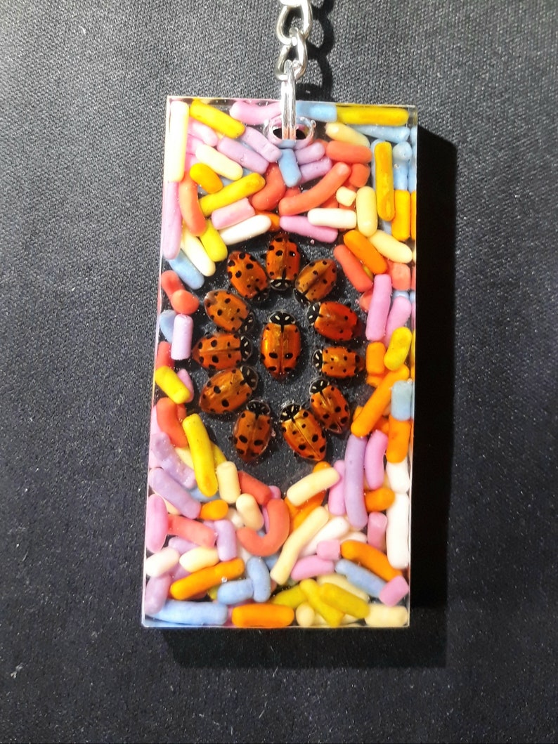 Rainbow Sprinkle Lady bug key chain AND MYSTERY PRIZE!