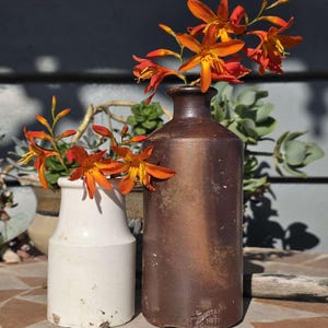 May include: Two ceramic vases, one white and one brown, display bright orange flowers. The brown vase is cylindrical, the white vase is smaller and rounded. The vases are on a tiled surface. The scene is lit by sunlight.