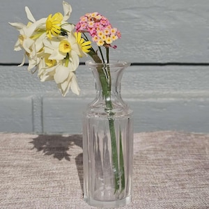 Vintage Pressed Glass Small Posy Vase * Dried Flowers * Plant Propagation *Tiny Chip to Lip