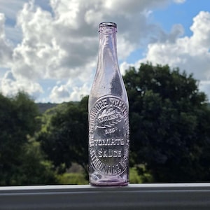 Può includere: Una bottiglia vintage in vetro viola chiaro con testo in rilievo. La bottiglia è etichettata "Baltimore Preserving Co." e "Tomato Sauce". La bottiglia è ambientata su uno sfondo di cielo nuvoloso e alberi verdi.