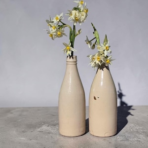 May include: Two tall, cylindrical, cream-colored ceramic bottles with narrow necks, each holding a cluster of white and yellow narcissus flowers. The bottles have a smooth, matte finish and a simple, uniform shape, standing upright side by side.