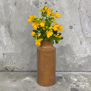 Recipiente de almacenamiento/recipiente de cerámica antigua * Tarro victoriano rústico perfecto para florero (con pequeños desperfectos en el hombro)