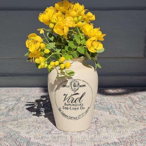 1890-1899 Antigua olla de gres VIROL para aceite de hígado de bacalao * Sustituye a la cerámica Liquor Carnis Co, PORT DUNDAS * 11 cm