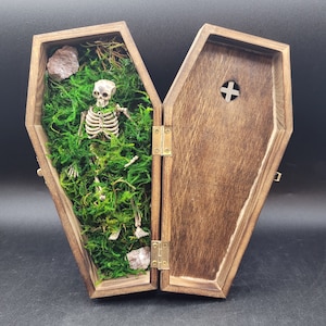 Skeleton in Coffin Halloween Decoration
