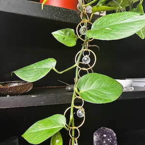 May include: A gold chain with clear crystal beads hangs from a potted plant. The plant is a pothos with green leaves. The chain is hanging from a shelf with a red pot and books on it.