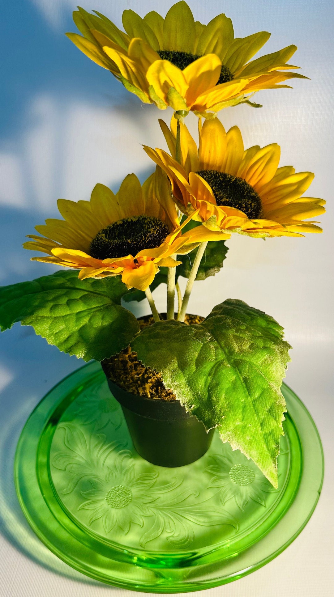 1930s Uranium Glass Sunflower Pattern Trivet by Glass Co