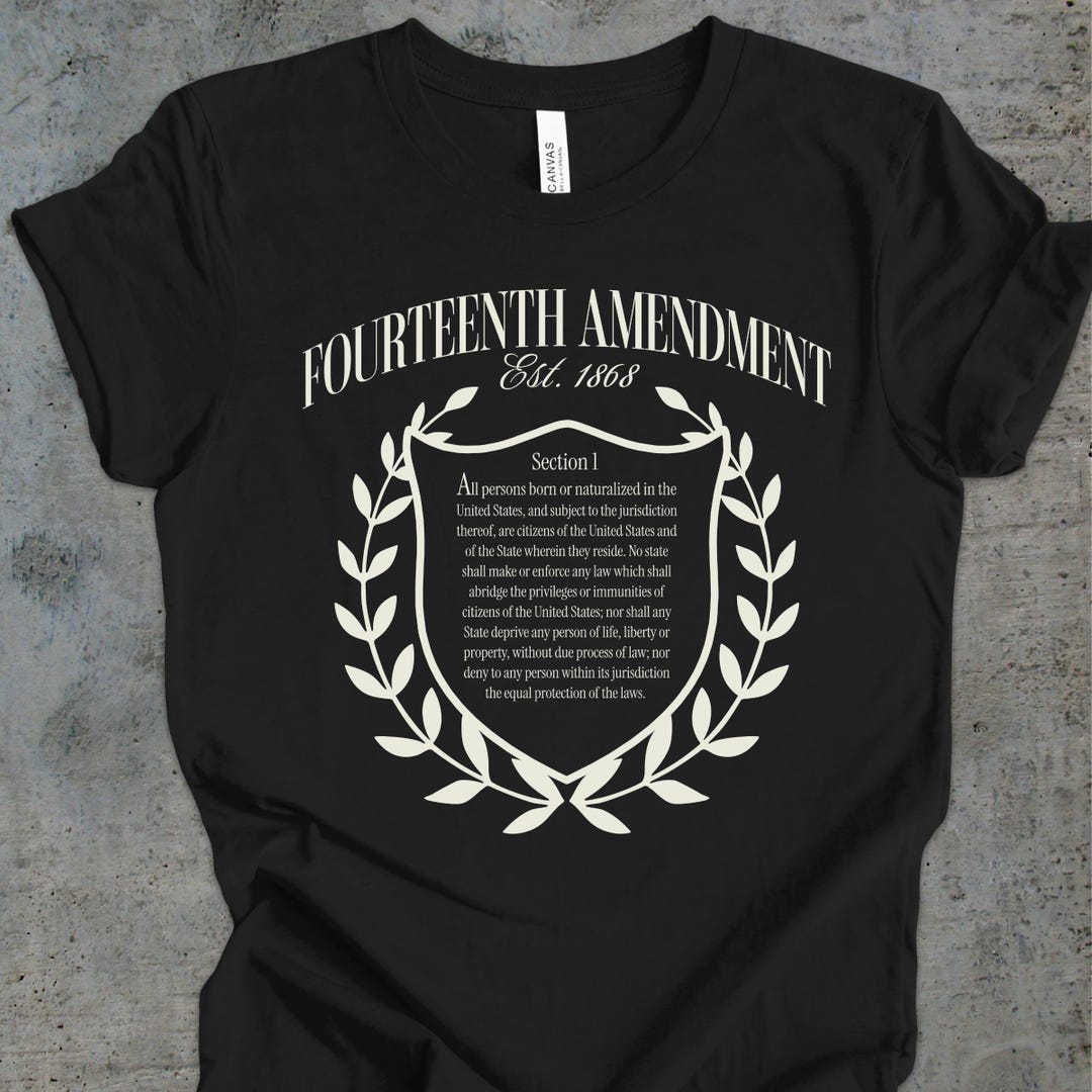 Fourteenth Amendment Tee | US Constitution Tshirt, Due Process, History ...