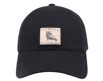 HatPhile It Is What It Is And It Is Not Great Embroidered Black Baseball Cap