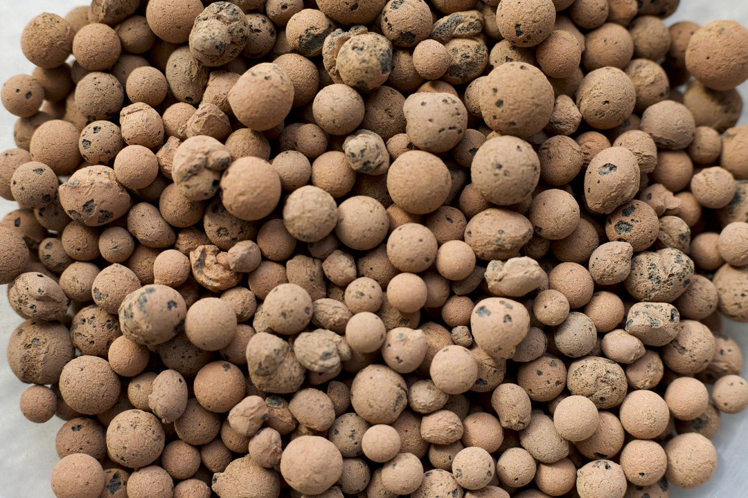 Leca Potting Pebbles, 1.5 Liters Etsy