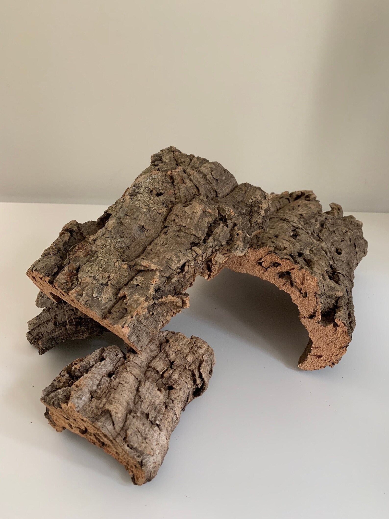Natural Cork Bark for Epiphytic Plants Terrariums etc. Etsy