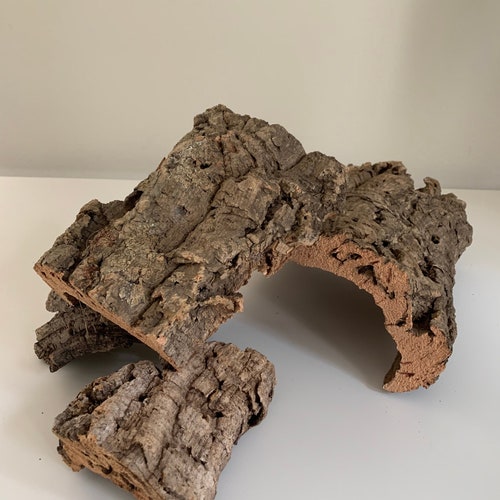 Natural Cork Bark for Epiphytic Plants, Terrariums, etc.