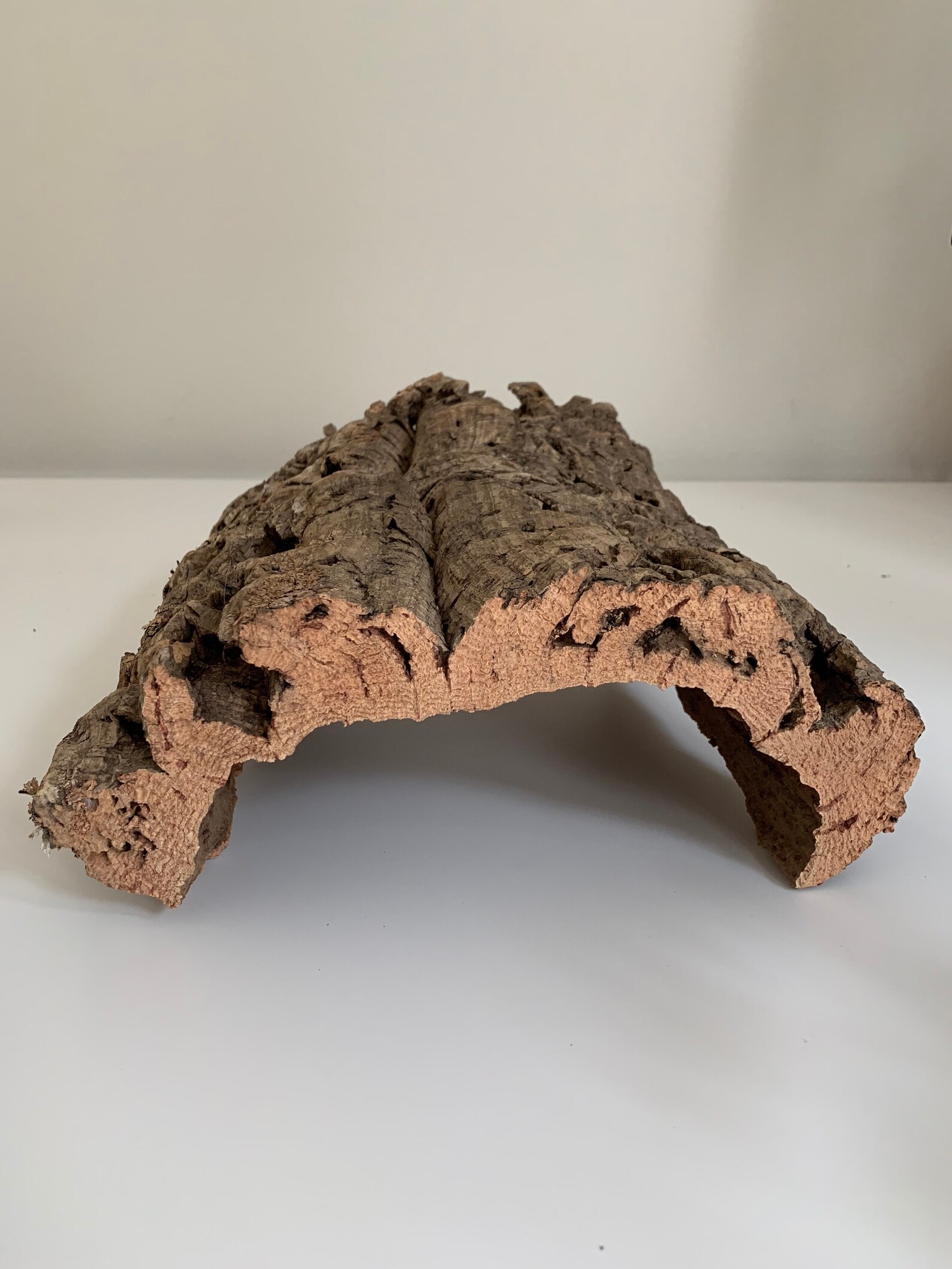 Natural Cork Bark for Epiphytic Plants Terrariums etc. Etsy