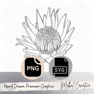 King Protea Graphic, SVG, PNG Digital File Download