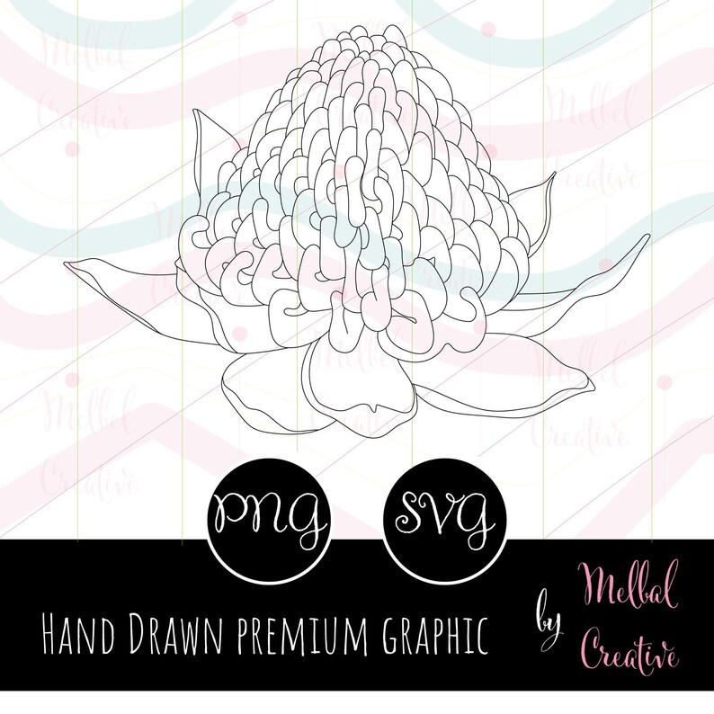 Waratah Flower, Cricut Draw Svg, Cricut Engraving File, Graphic