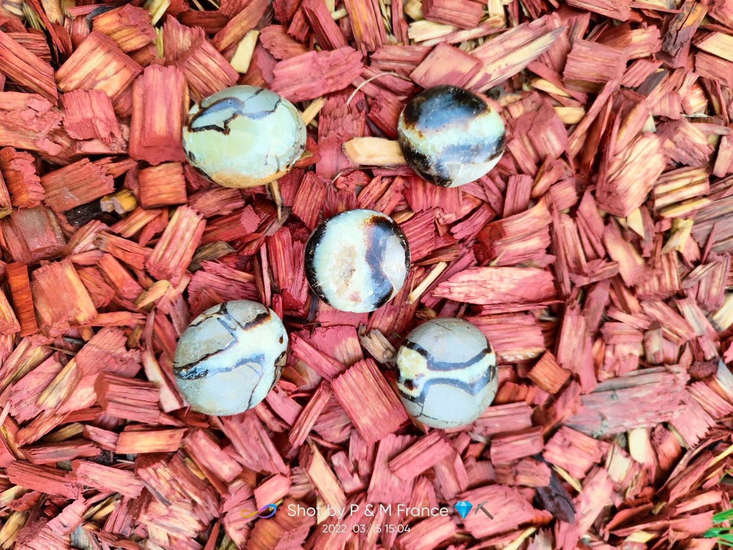 Cristal de Calcite Septaria