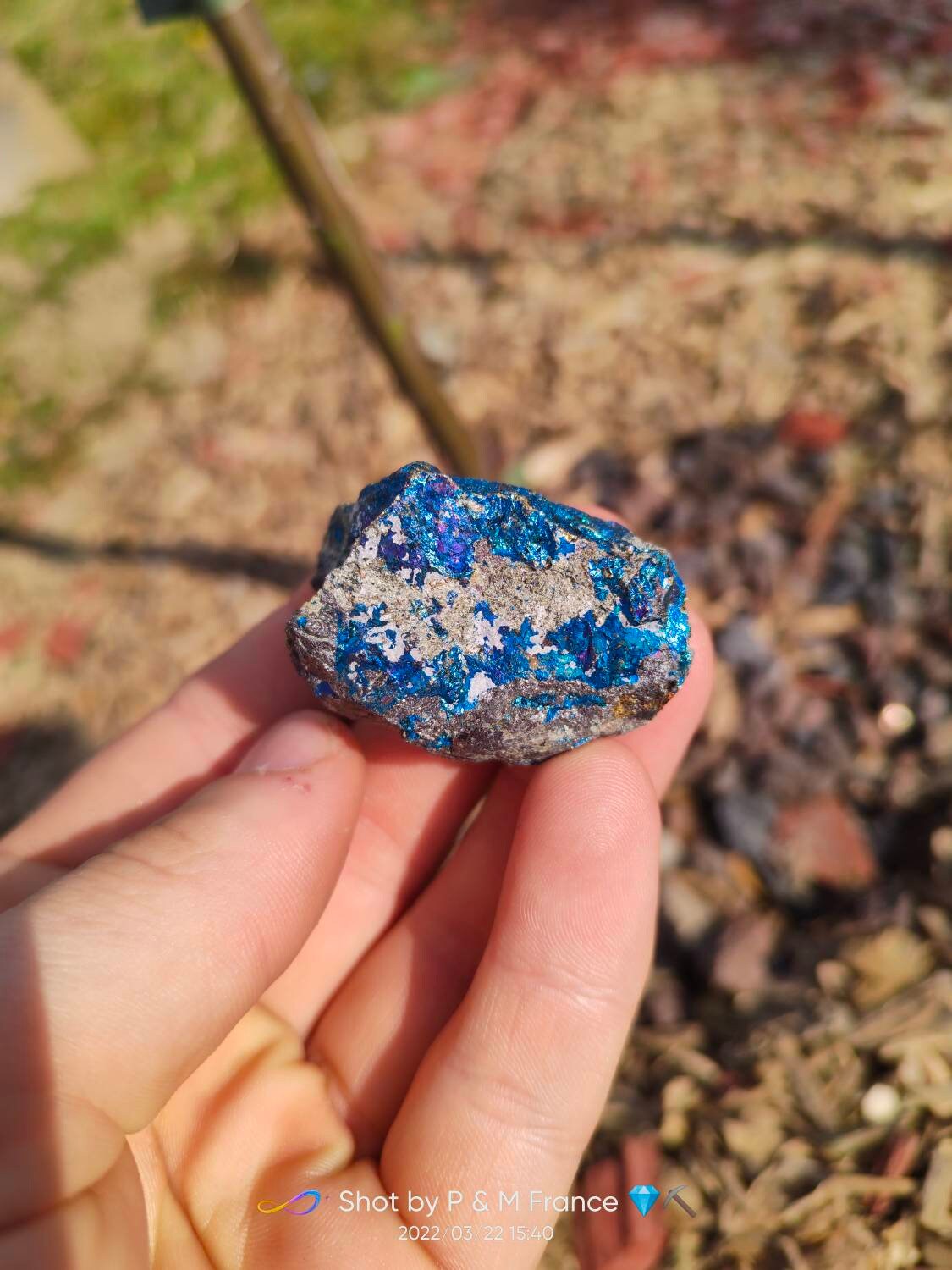 Minerai de Paon, Chalcopyrite, Cristaux Bruts