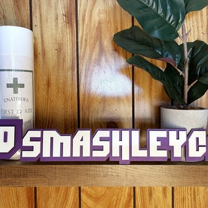 Personalized Social Media Handle Sign: Custom Gamer Gift (2 Sizes)