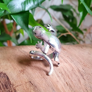Peut inclure: Une bague en argent en forme de lézard avec sa queue enroulée autour de la bande.