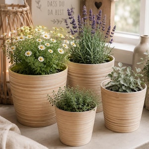 Può includere: Un set di quattro vasi cilindrici con finitura a venature di legno chiaro, ognuno contenente una pianta diversa tra cui margherite bianche, lavanda viola ed erbe verdi, disposti insieme su una superficie piana vicino a una finestra.